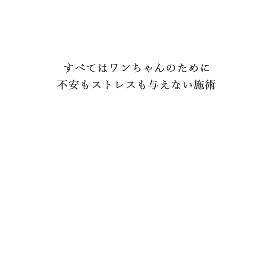 すべてはワンちゃんのために 不安もストレスも与えない施術