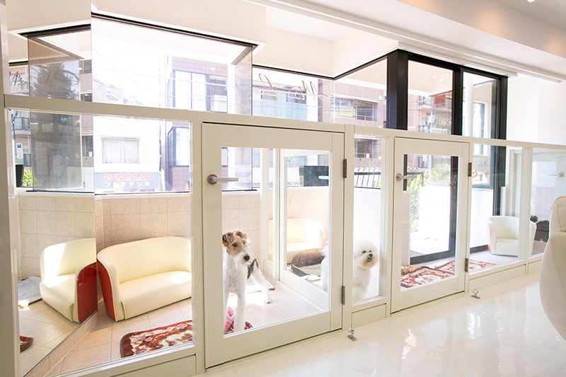 Esthetic Health＆Beauty for Dogs MissLacy 元麻布