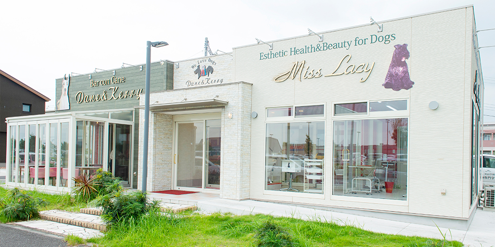 Esthetic Health＆Beauty for Dogs MissLacy つくば