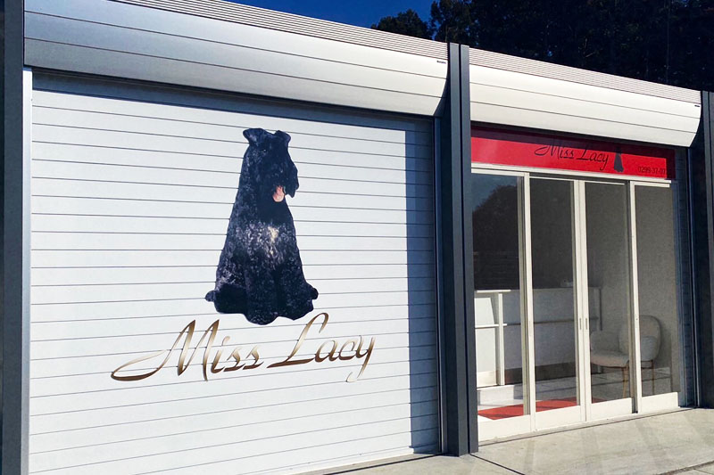 Esthetic Health＆Beauty for Dogs MissLacy 小美玉