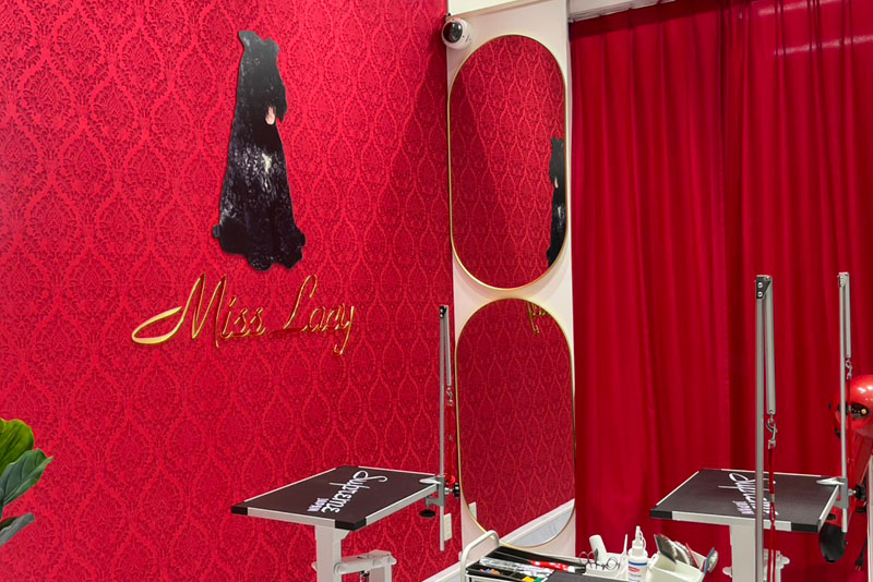 愛犬おしゃれ工房 MissLacy ららぽーとTOKYO-BAY